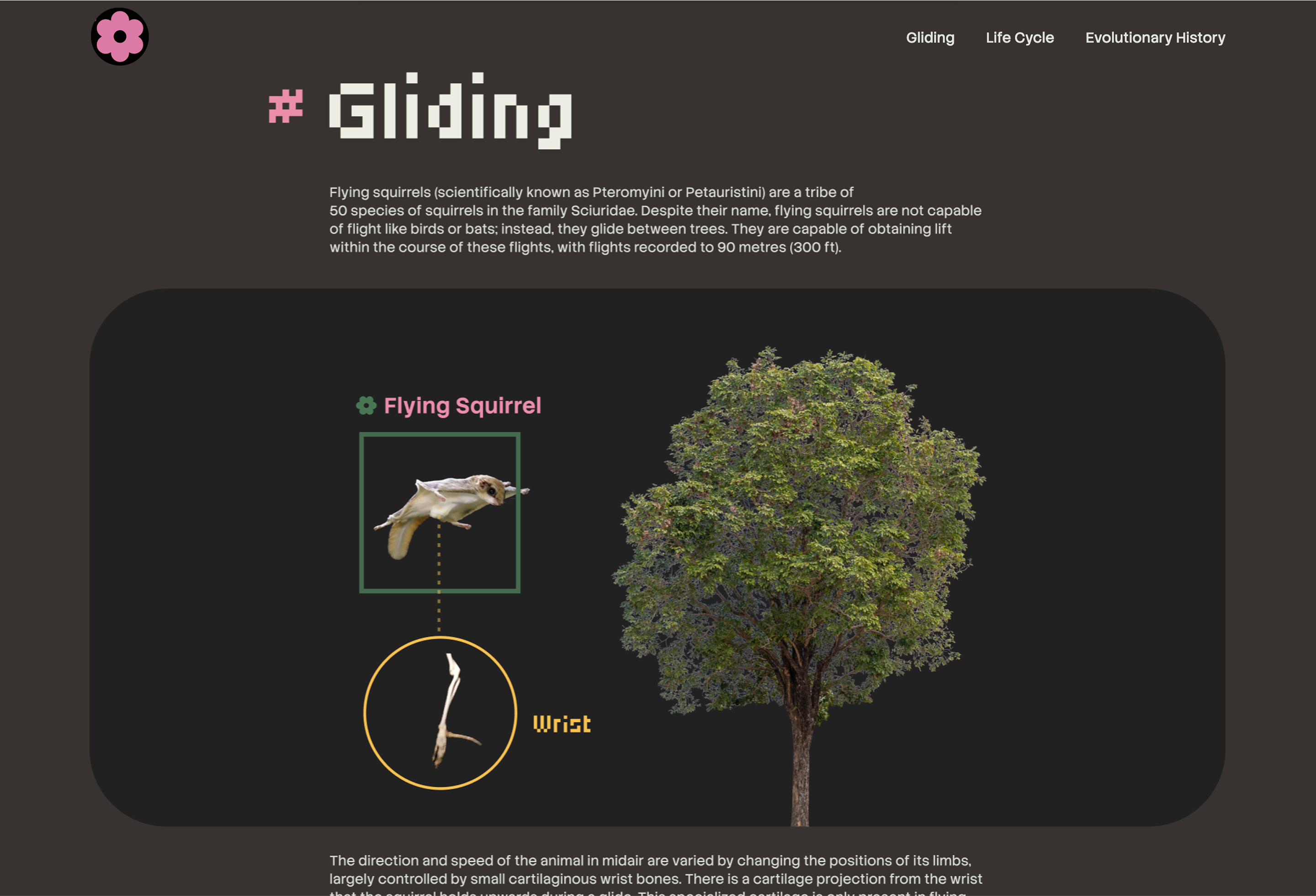 microsite-section-screenshot